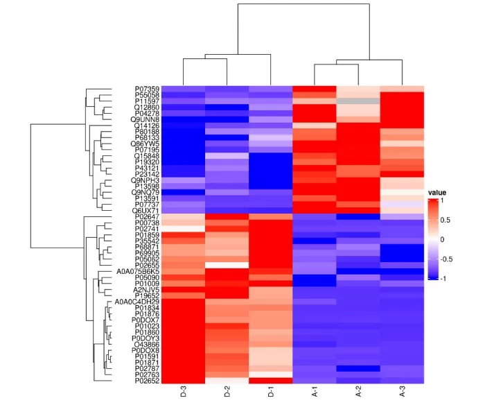 Hierarchical Clustering Heatmap Hierarchical Clustering Heatmap